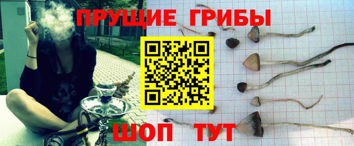 Псилоцибиновые грибы Psilocybine cubensis  Вход с VPN  купить   Галлюциногенные грибы ЛСД  Якутск 